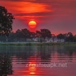 Avatar of Owais Siddiqui